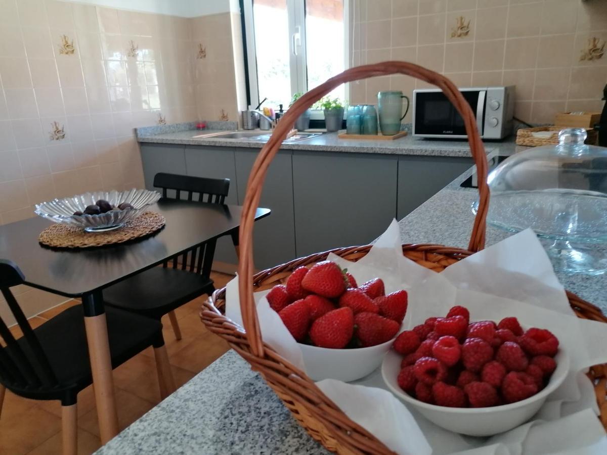 Casa D'Avo Bina Alojamento Local 비아나도카스텔로 외부 사진